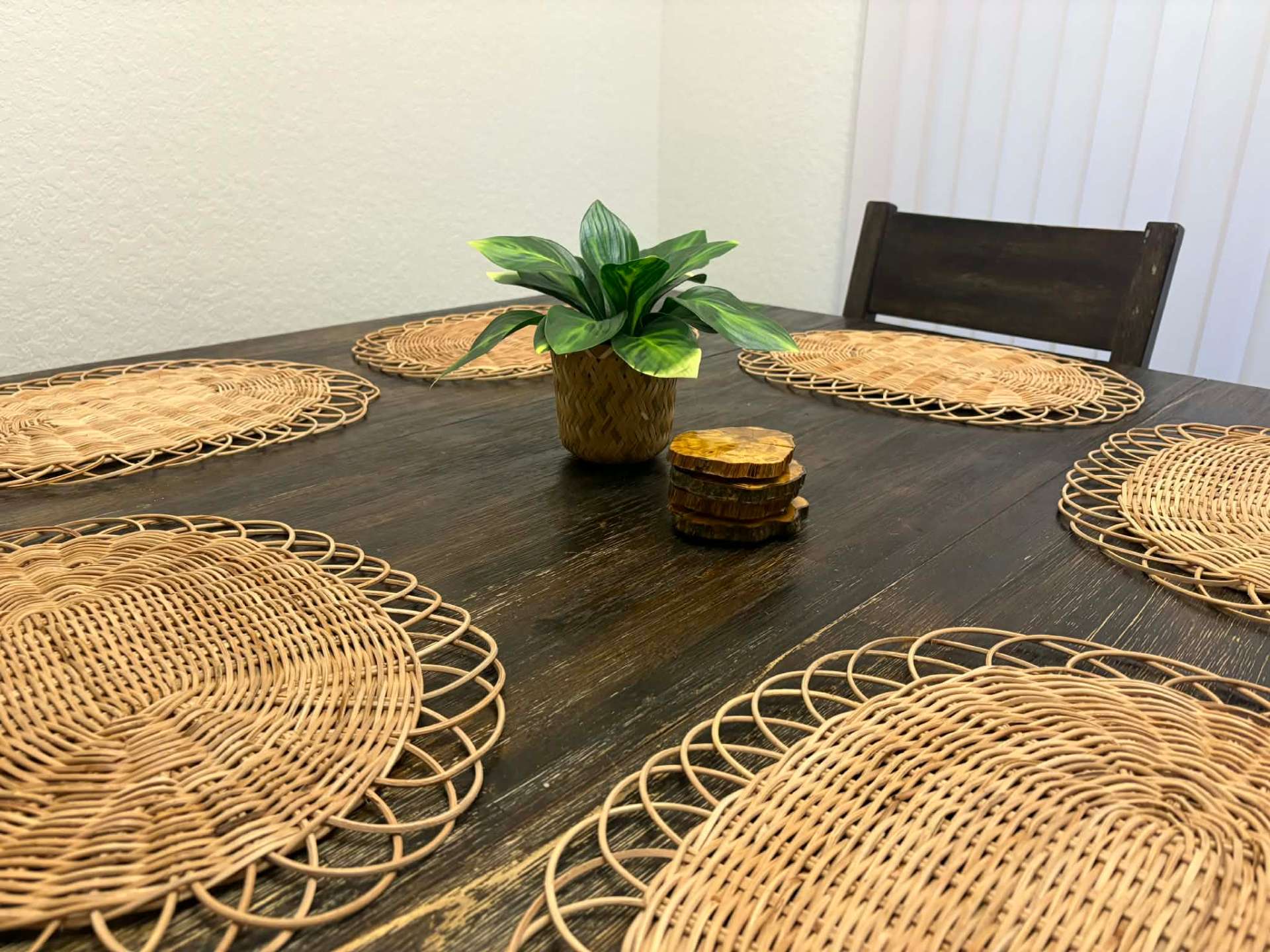 Live edge coasters styled on a dining table